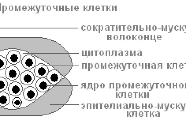 Vk8 at кракен