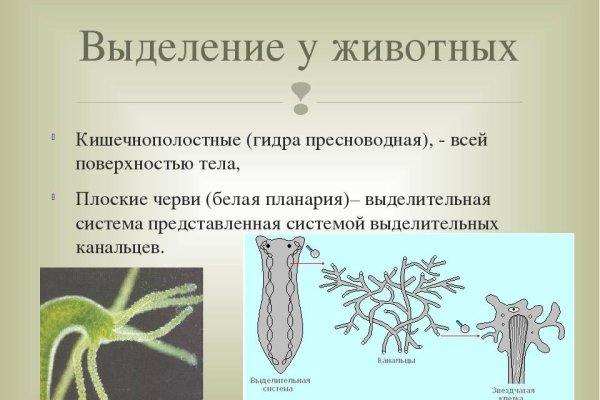 Ссылка на кракен onion kraken dark link