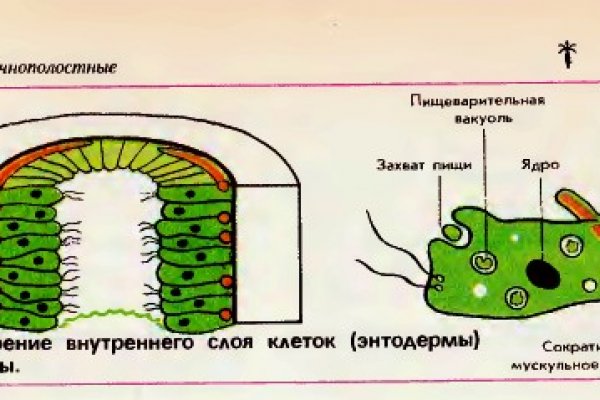 Кракен купить меф